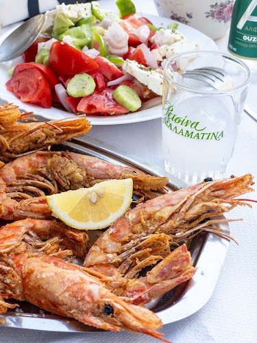 Opinii despre Όρμος Αφροδίτης în Πειραιάς - Γαστρονομία και φιλοξενία