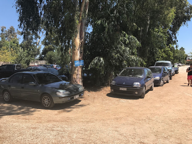 IONIO BLUE - Μπρίνια