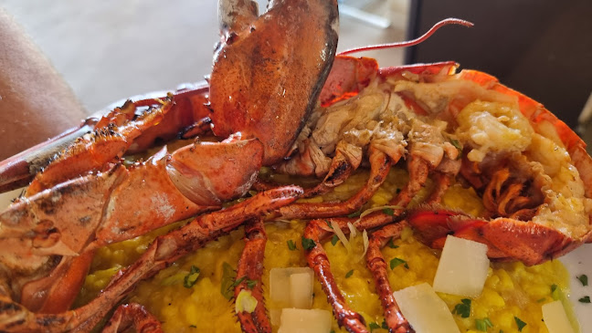 Opinii despre Almira Beach Bar Restaurant Chania în Αγ. Μαρίνα - Γαστρονομία και φιλοξενία