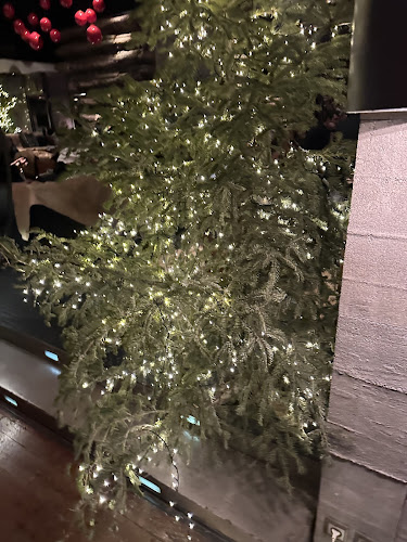 Comentarii opinii despre Bohème