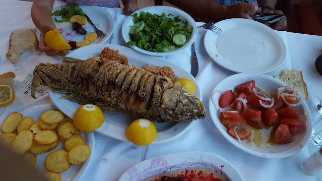 Πανόραμα Ταβέρνα - Λιθότοπος