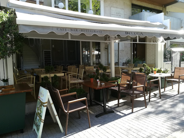 Comentarii opinii despre Beluga Cafe & Restaurant Bar