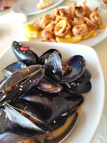 Νέα Προποντίδα 630 80