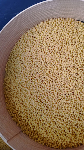 Comentarii opinii despre ΘΡΑΚΙΩΤΙΚΗ ΖΥΜΗ