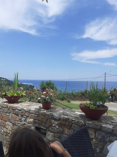 Comentarii opinii despre Paradies