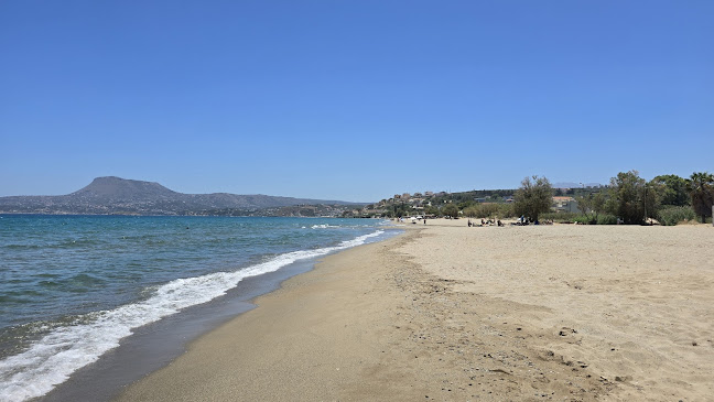 Κυανή Ακτή Ταβέρνα (1957) - Nικόλαος Βλαμάκης - Γαστρονομία και φιλοξενία