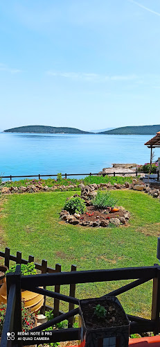 Ο θαλασσόλιθος - Νηές