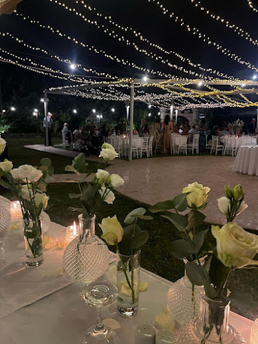 Comentarii opinii despre Κτήμα Γεωργιάδη 1970