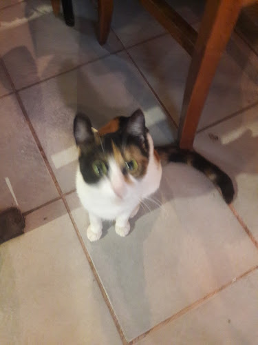 Rhythm Cocktail Bar - Γαστρονομία και φιλοξενία