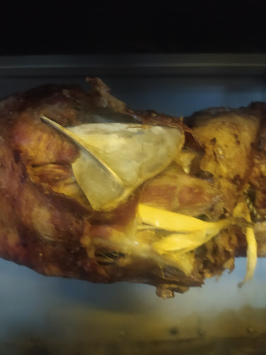 Ζωοδόχο πηγή, Ζωοδόχος Πηγή 501 00