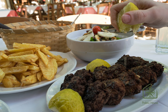 Το σπίτι του Πολιού