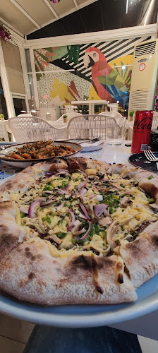 Papagάλλος - Αιδηψός