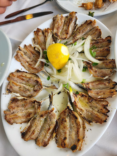 Aλ. Παπαδοπούλου 72, Θεσσαλονίκη 546 33