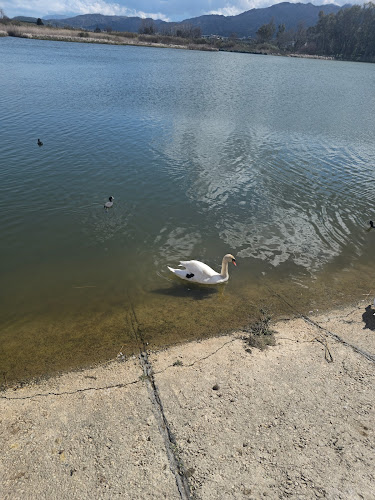 Λίμνη Αγιας Επαρχιακος, Επαρ.Οδ. Χανίων - Σούγιας, Αγιά 731 00