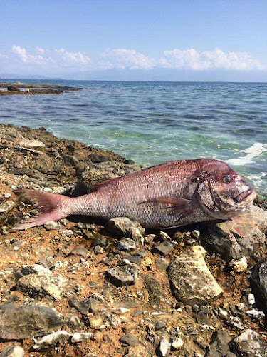 Comentarii opinii despre Ο θαλασσόλιθος