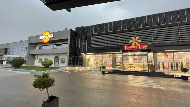 Βιολάντα Cookies Α.Ε.