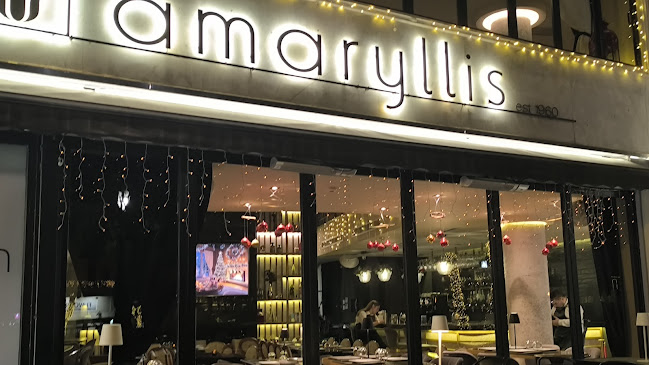 Amaryllis Roof Garden