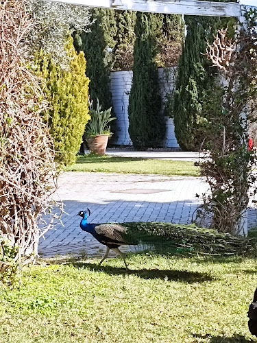 Comentarii opinii despre Ippikos Cafe