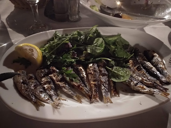 Opinii despre Barba Yioryis Tavern în Σάνη - Γαστρονομία και φιλοξενία