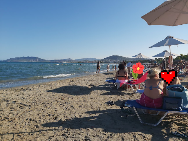 Άρτεμις 190 16