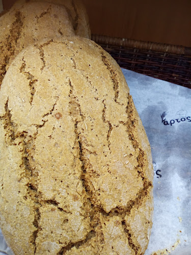 Διακοπτό 250 03