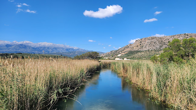 Comentarii opinii despre Κυανή Ακτή Ταβέρνα (1957) - Nικόλαος Βλαμάκης