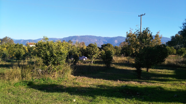 Comentarii opinii despre Candoleros