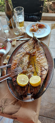 Το Νταλιάνι. Κρεμμύδα-Μυτάρη Ευαγγελία