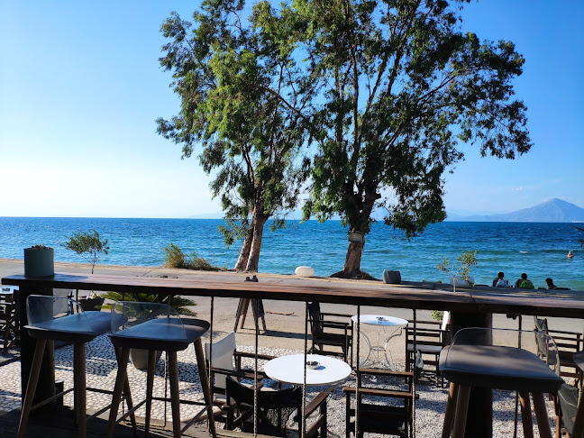 Comentarii opinii despre Terazza di legno (Pizza-bar)