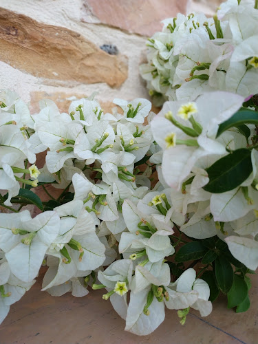 Λεωφ. Αιγαίου 26, Χίος 821 00