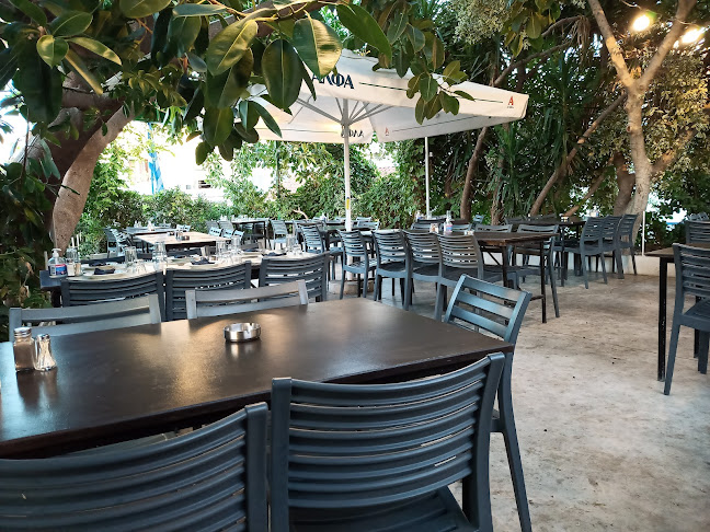 Το Δίχαλο Χανιά - Χανιά