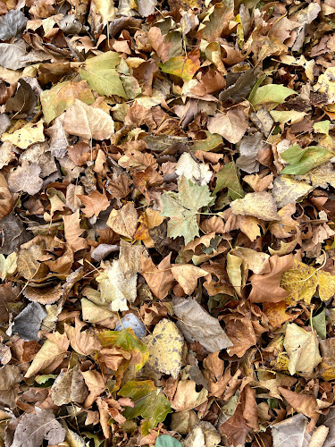 ΣΤΗΝ ΒΡΥΣΗ ΚΑΦΕ - Βόνιτσα