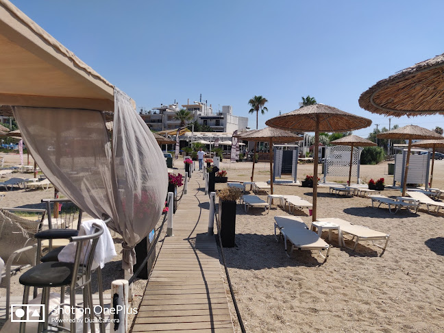 L Amico - Ανάβυσσος