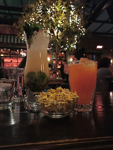 Upupa Epops - The bar