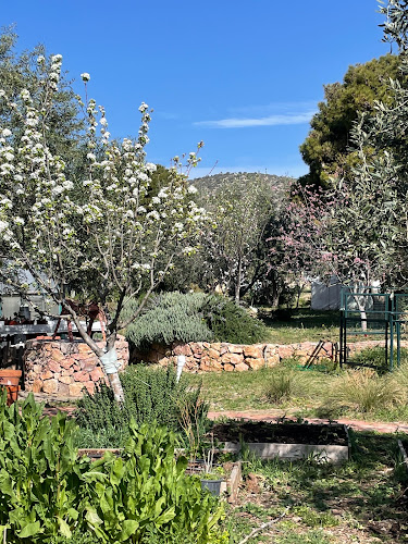 To Perivoli sti Vari - Γαστρονομία και φιλοξενία