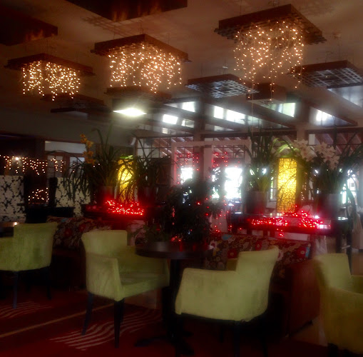 Δάσος Κουρί, Αλμυρός 371 00