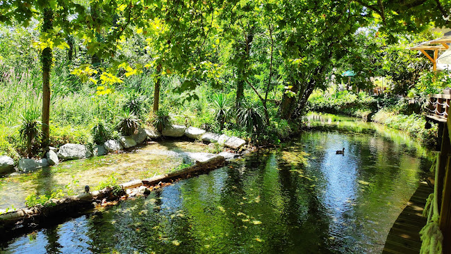 Comentarii opinii despre Amal