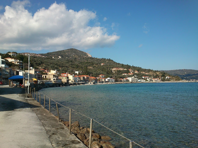 Πλατάνα 340 03