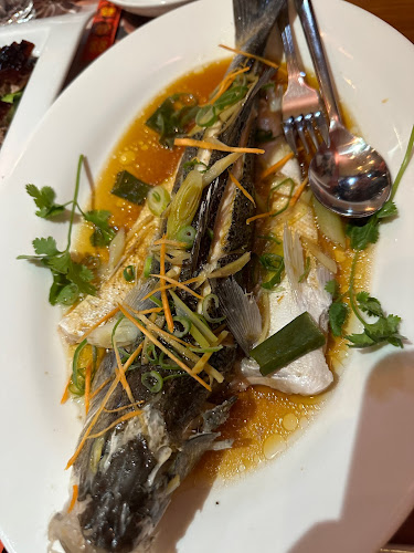 Opinii despre Attic Moon 明月楼, 希腊雅典 în Αθήνα - Γαστρονομία και φιλοξενία