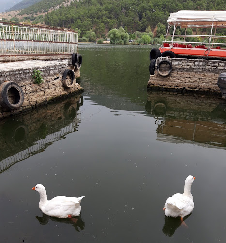 Νησί, Νήσος Ιωαννίνων 455 00