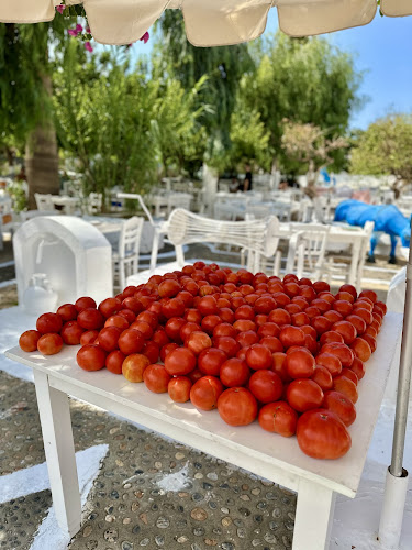 Drossia Traditional Restaurant since 1974