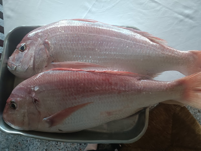 Ψαροταβέρνα ''KABOΣ'' - Γαστρονομία και φιλοξενία