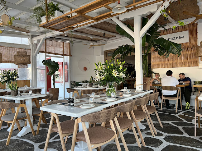 Comentarii opinii despre Kadena