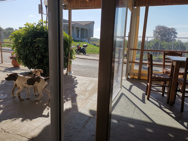 Ψησταριά ο ΝΤΑΒΑΡΗΣ - Αμαλιάδα