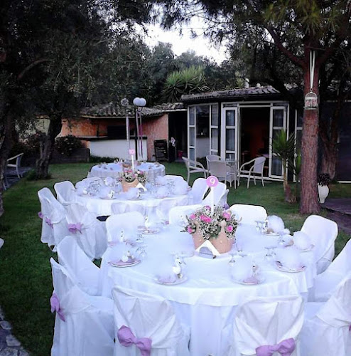 ΚΤΗΜΑ ΛΙΑΡΟΣ ΕΛΑΙΩΝΑΣ - Γαστρονομία και φιλοξενία