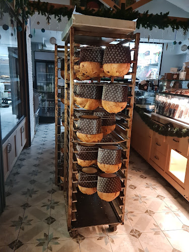 Ρίζος Ελαια-Φούρνος