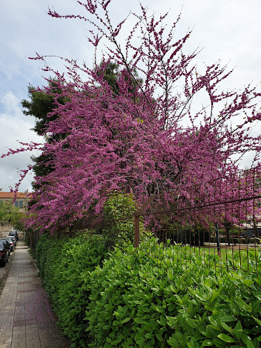 Comentarii opinii despre Καφέ Πάρκο