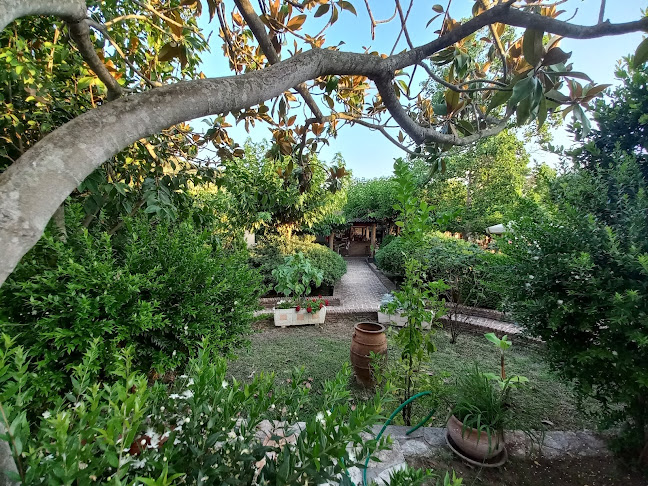 Unnamed Road, Σύβοτα 461 00