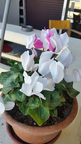 Φούρνος Γκικόντη - Γαστρονομία και φιλοξενία