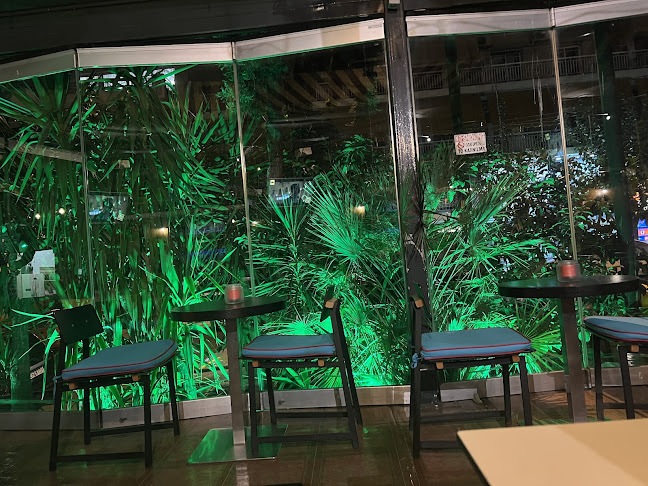 Opinii despre TRANSIT în Αθήνα - Γαστρονομία και φιλοξενία